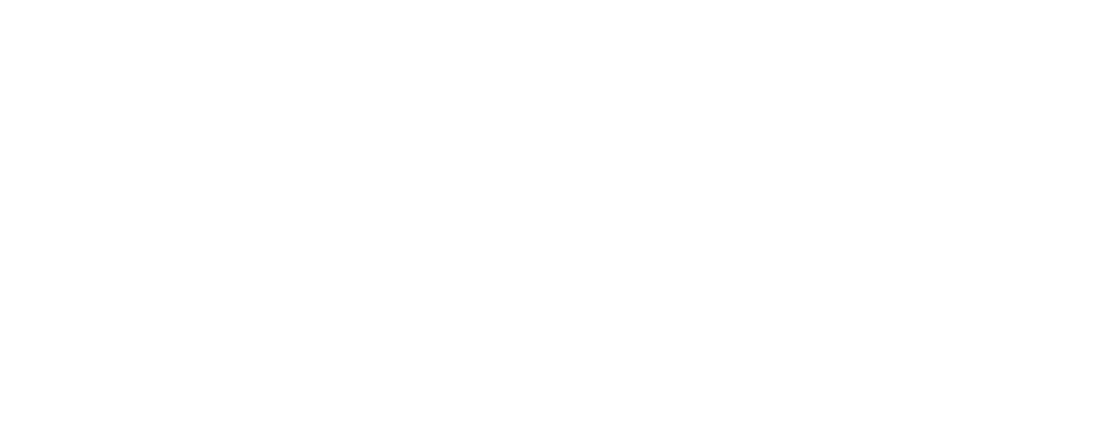 Check-Point-2024-logo-white@2x