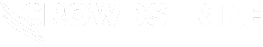 Crowdstrike-logo_WHITE_RVB